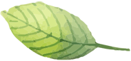 Leaf Overlay